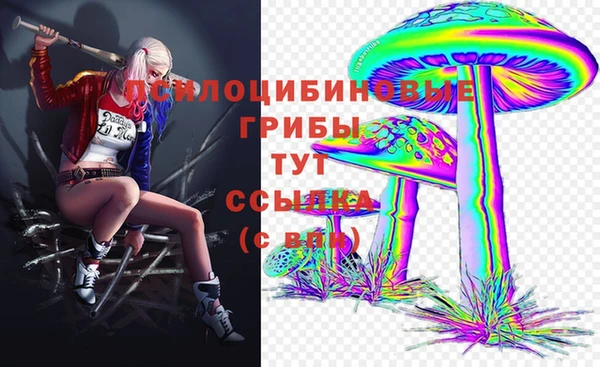 соль ск Белоозёрский