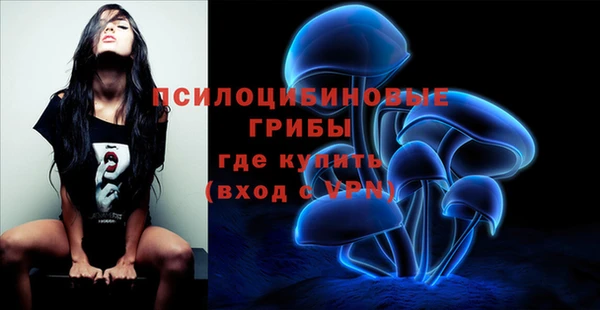 а пвп мука Белокуриха