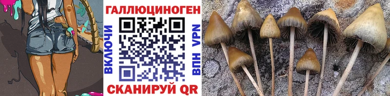 купить наркоту  Верея  Псилоцибиновые грибы ЛСД 